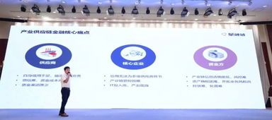 協(xié)同創(chuàng)新，共促發(fā)展 互聯(lián)網(wǎng)招標(biāo)采購行動技術(shù)創(chuàng)新成果推廣運(yùn)用交流會在京圓滿舉行