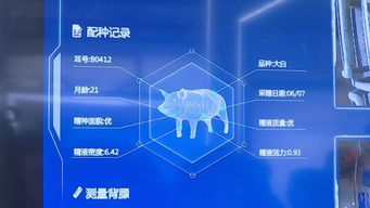 記者帶你逛數(shù)博 科技盛宴上演 名企新品爭奇斗艷