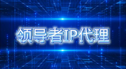 代理服務(wù)器在科技推廣與應(yīng)用服務(wù)中的高效運(yùn)用指南